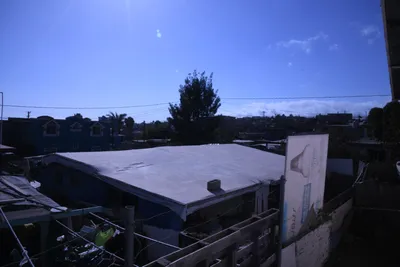 DSC_1180 (Large).JPG